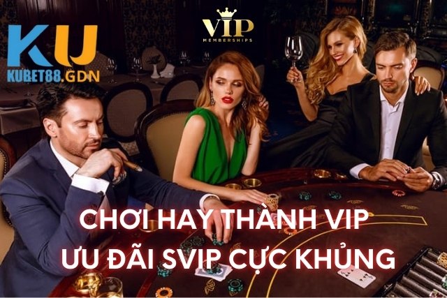 Ưu đãi thành viên VIP